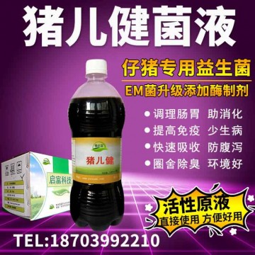 用什么養(yǎng)豬可以使豬吃的香拉屎不臭養(yǎng)豬em菌液用法